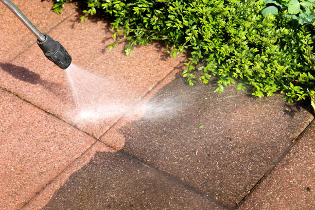 Best Roof Pressure Washing  in Beale Af, CA