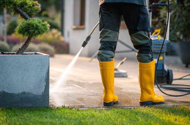 Best Power Washing Near Me  in Beale Af, CA